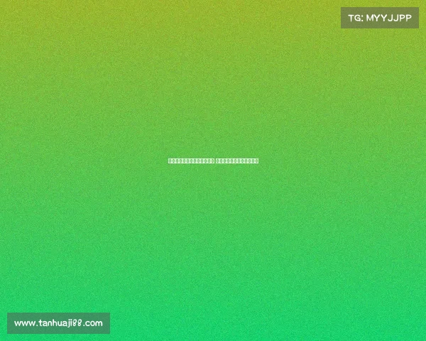 德甲豪门纷争与新兴力量崛起 深度解析当前赛季热门话题