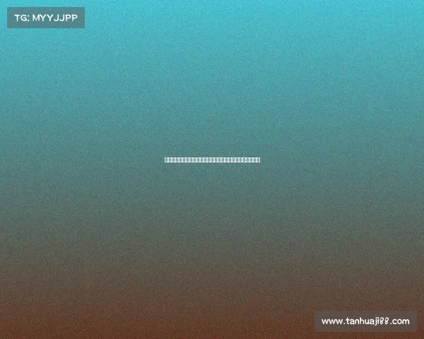 网球比赛赛程全面解析：从预选赛到决赛的每个精彩时刻详解